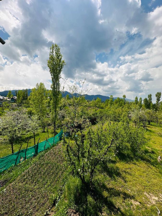 Sheen Homestay غولمارغ المظهر الخارجي الصورة